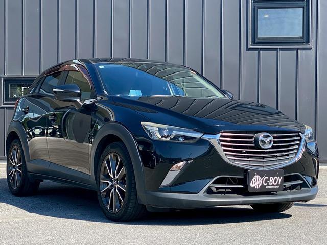 ＣＸ－３